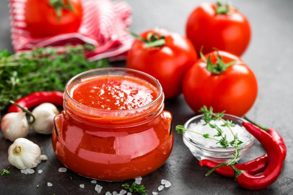 the Manufacturers of Tomato Paste in Mini Size