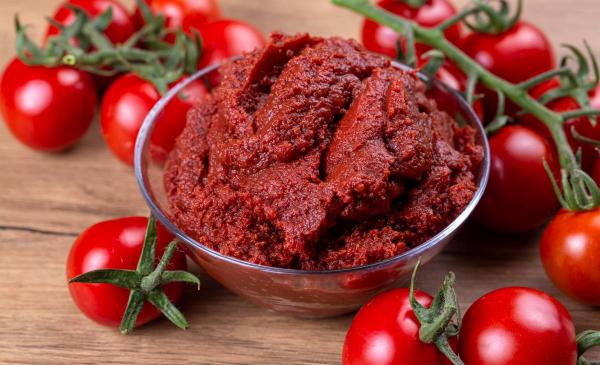 Wholesale Price of Tomato Paste in Conical Drum