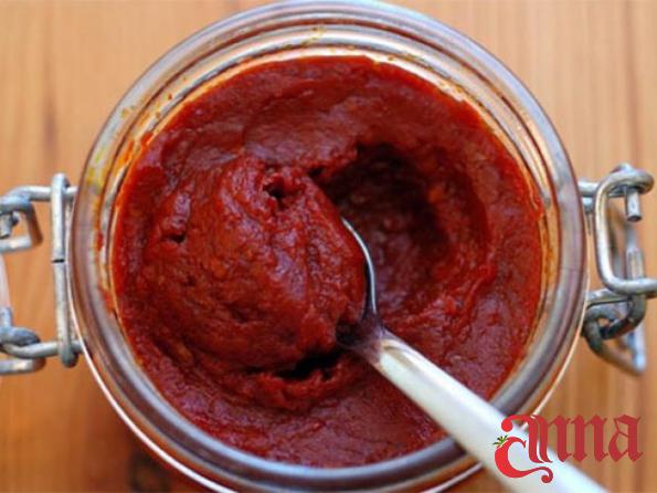 The Best Organic Tomato Paste for Export