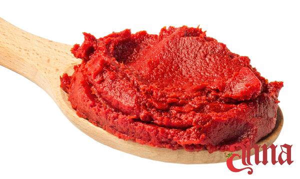 Fermented Tomato Paste at Production Price