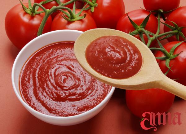 The Suppliers of Fresh Tomato Paste