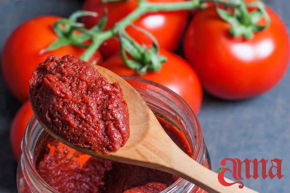 Everything About Full Red Tomato Paste