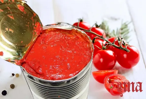 Organic Drum Tomato Paste For Sale