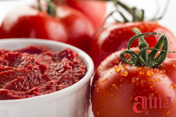 the Best Canned Organic Tomato Paste at Cost Price