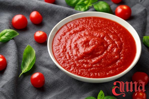 What Are the Characteristics Of  Double Concentrated Tomato Paste ?