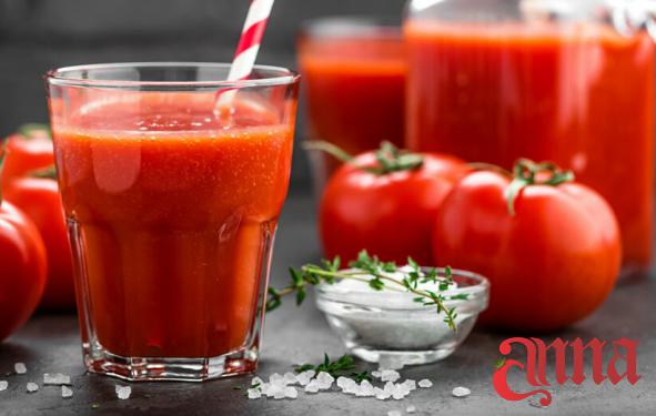 Perfect Tomato Concentrate Bulk Price