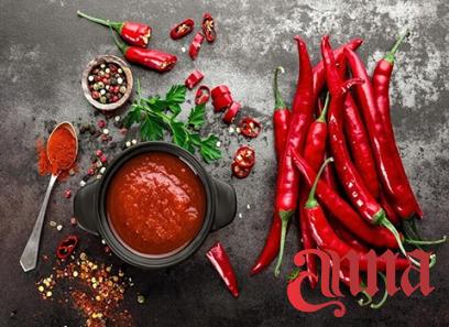 Buy and price of turkish food tomato paste