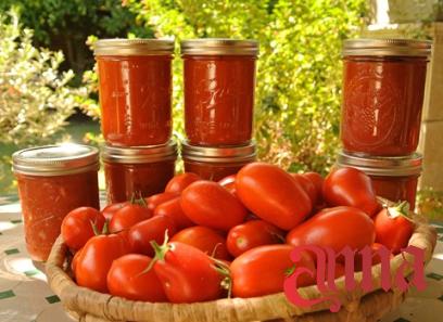 The purchase price of food tomato paste + training