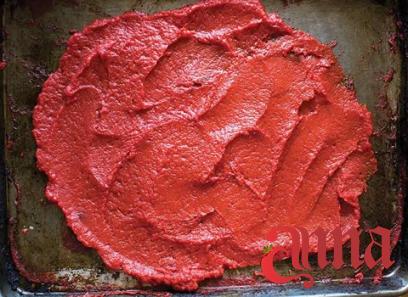 zucchini tomato paste purchase price + specifications, cheap wholesale