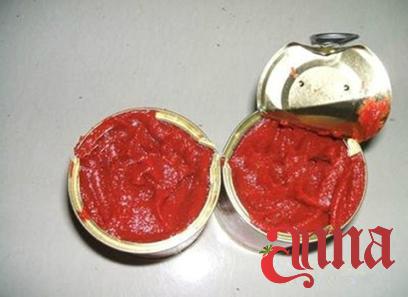 Buy and price of turkey chili tomato paste